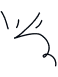 Decorative Element